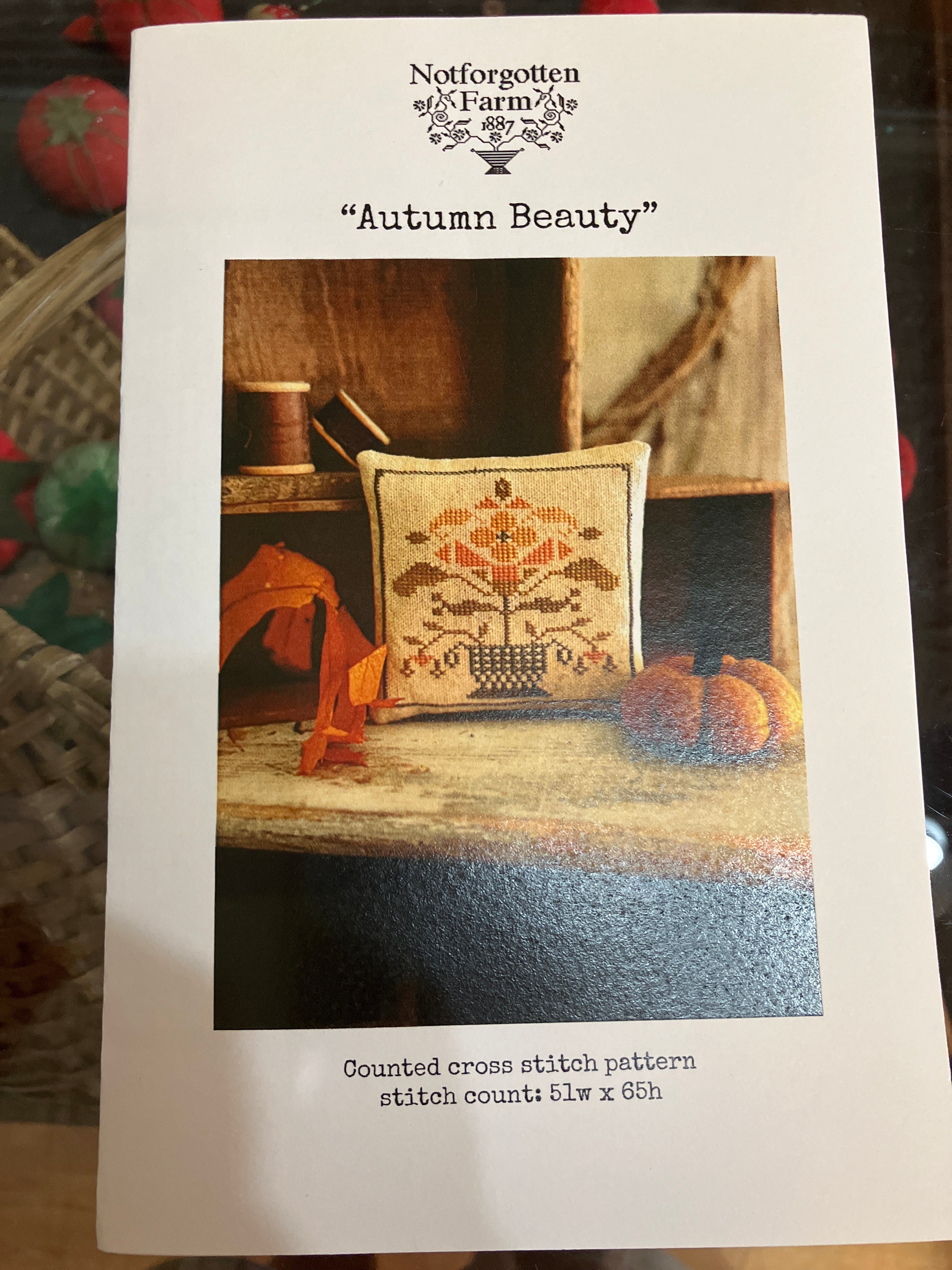 Autumn Beauty