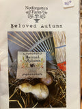 Beloved Autumn