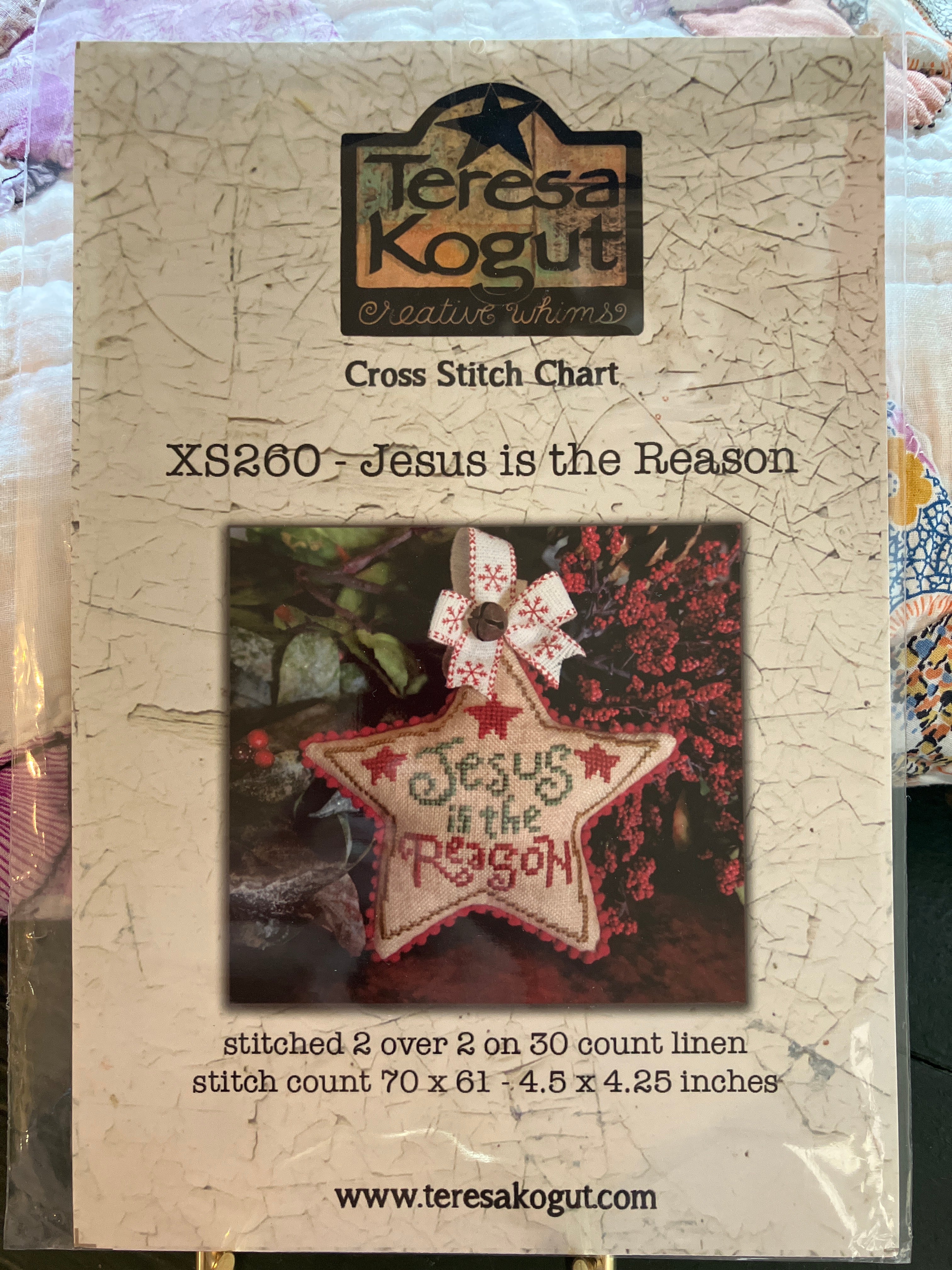 Jesus is the Reason